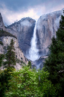 Yosemite Falls with Dogwoods
